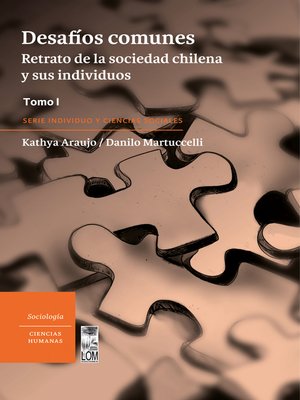 cover image of Desafíos comunes